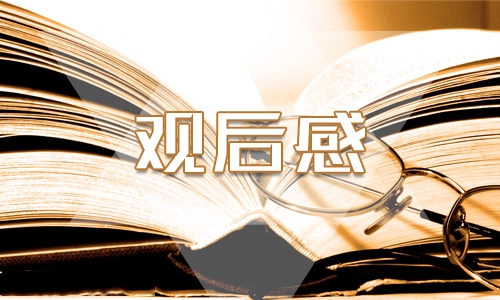 观看《榜样8》阶段感悟