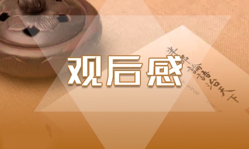 交通安全教育课观后感心得体会10篇